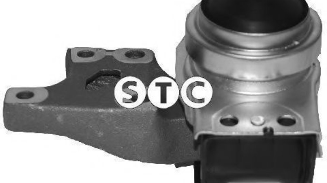 Suport motor CITROEN C4 Picasso I (UD) (2007 - 2013) STC T404763 piesa NOUA