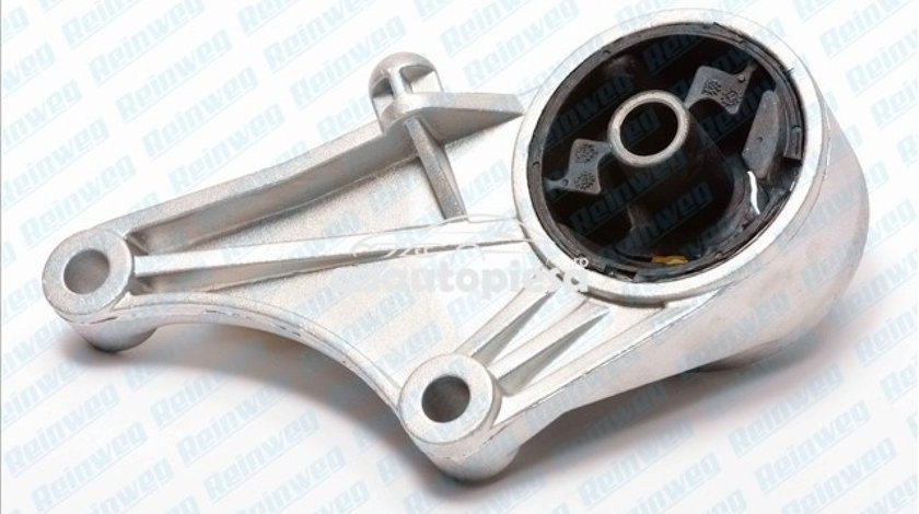 Suport motor OPEL ASTRA G Hatchback (F48, F08) (1998 - 2009) REINWEG RW74624 piesa NOUA