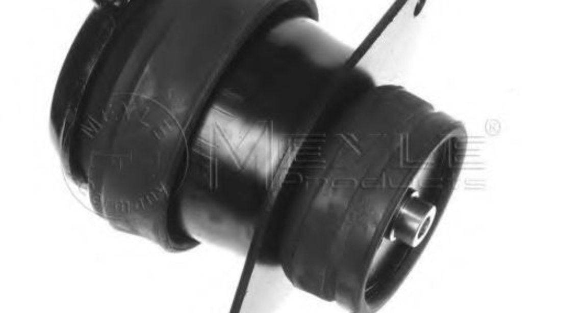 Suport motor VW GOLF IV Cabriolet (1E7) (1998 - 2002) MEYLE 100 199 0072 piesa NOUA