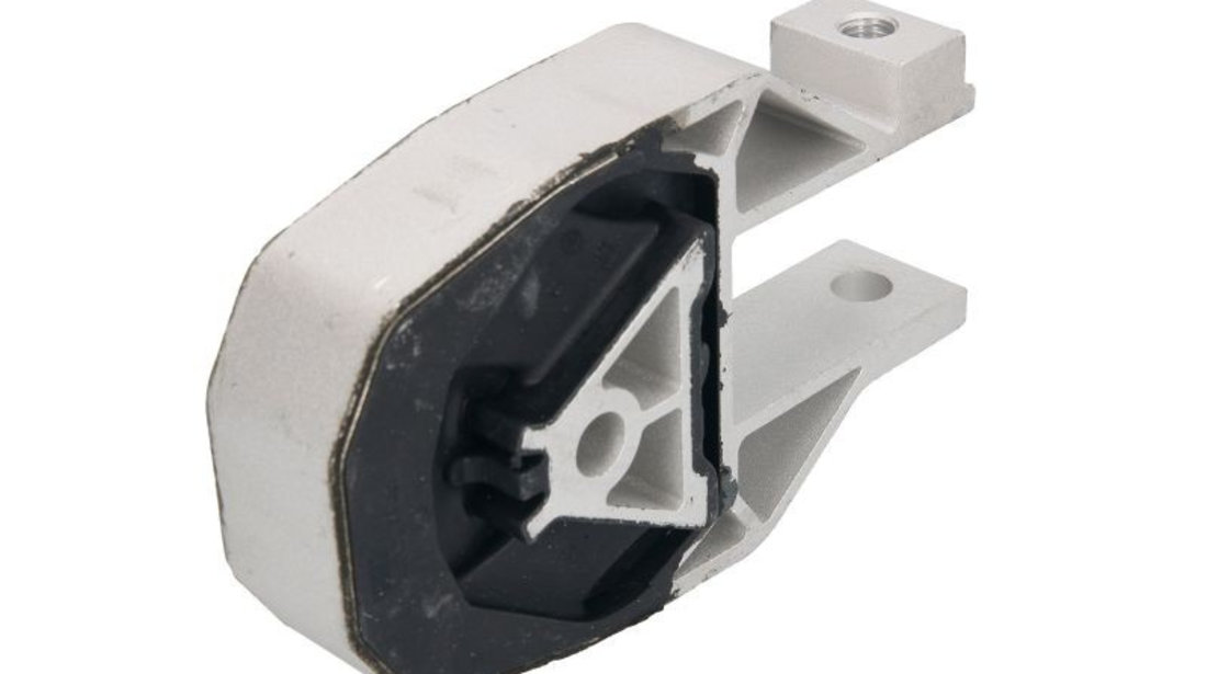 Suport, transmisie automata FORD C-MAX (DM2) (2007 - 2016) REINHOCH RH11-4038 piesa NOUA