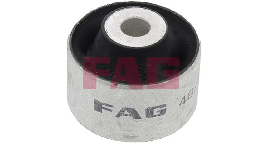 Suport,trapez punte fata (829009410 FAG) AUDI,AUDI (FAW),SEAT,SKODA,VW,VW (SVW)