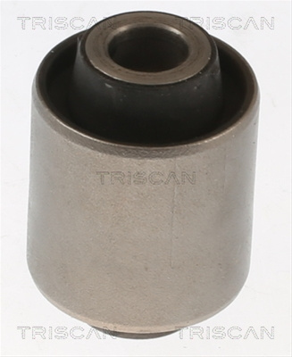 Suport Trapez Triscan Citroën 8500 10889