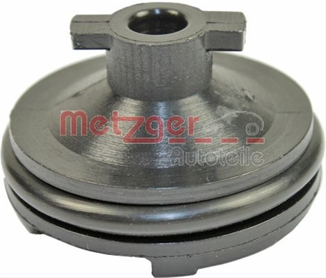 Surub De Golire Baia De Ulei Metzger Ford 8030024