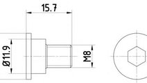 Surub, disc frana MINI MINI (F55) (2014 - 2016) TE...