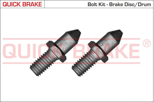 Surub, disc frana puntea spate (11678K QBK) Citroen,FIAT,LANCIA,PEUGEOT