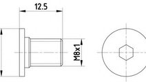 Surub, disc frana VW CRAFTER 30-50 caroserie (2E) ...