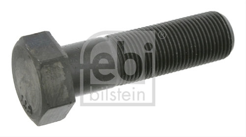 Surub Fulie Febi Bilstein Vw 17230