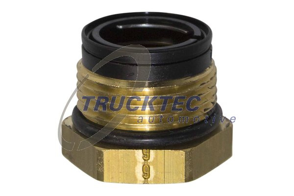 Surub olandez (0167244 TRUCKTEC)