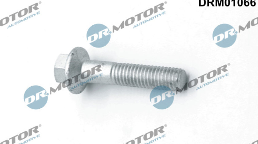 Surub, suport injector (DRM01066 DRM) FORD