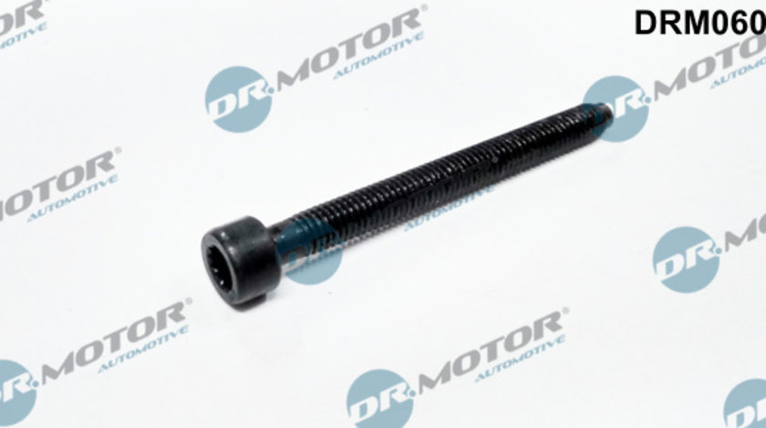 Surub, suport injector (DRM0609 DRM) AUDI,FORD,SEAT,SKODA,VW