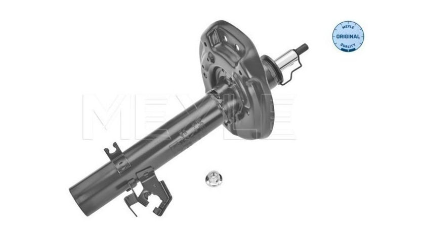 Telescop Nissan QASHQAI (J11, J11_) 2013-2016 #2 E43024EA3A