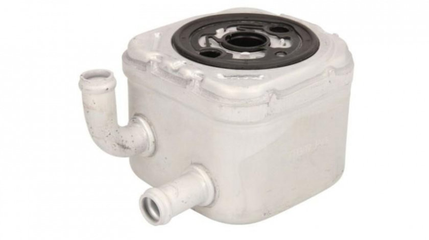 Termoflot Audi AUDI A4 Cabriolet (8H7, B6, 8HE, B7) 2002-2009 #4 046004N