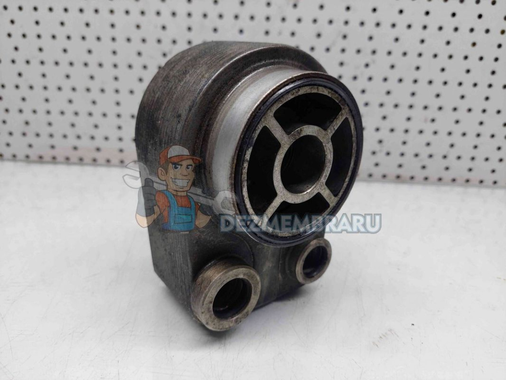 Termoflot Dacia Logan (LS) [Fabr 2004-2012] 606297C 1.2