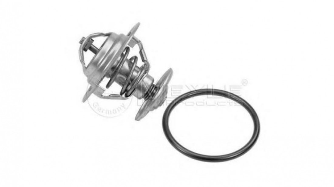 Termostat Audi AUDI 90 (89, 89Q, 8A, B3) 1987-1991 #2 0282710002