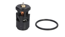 Termostat,lichid racire AUDI A2 (8Z0) (2000 - 2005...