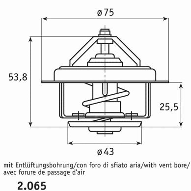 Termostat,lichid Racire Behr Man 2.065.71