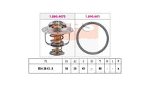 Termostat,lichid racire Hyundai SATELLITE 1997-201...