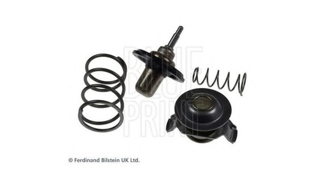 Termostat,lichid racire Land Rover DISCOVERY III (TAA) 2004-2009 #2 ADJ139204