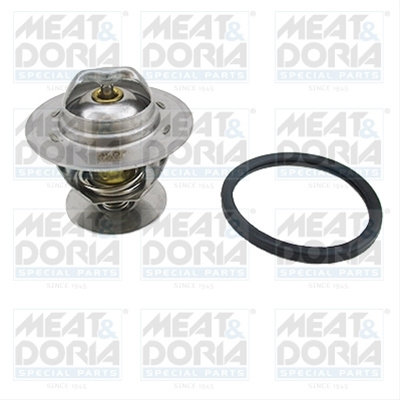 Termostat,lichid Racire Meat & Doria Ford 92321