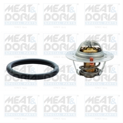 Termostat,lichid Racire Meat & Doria Ford 92407