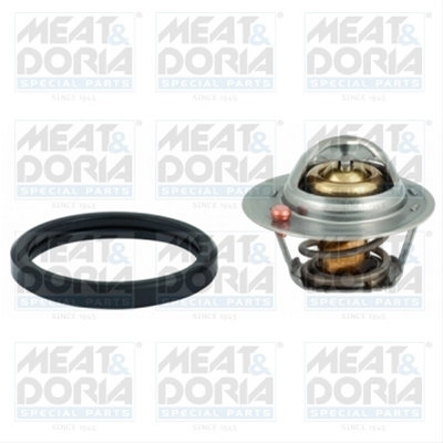 Termostat,lichid Racire Meat & Doria Ford 92626