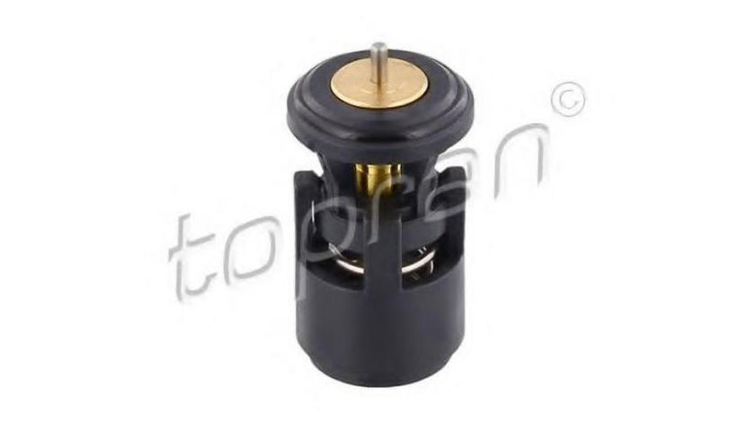 Termostat,lichid racire Skoda FABIA Combi (6Y5) 2000-2007 #2 000057