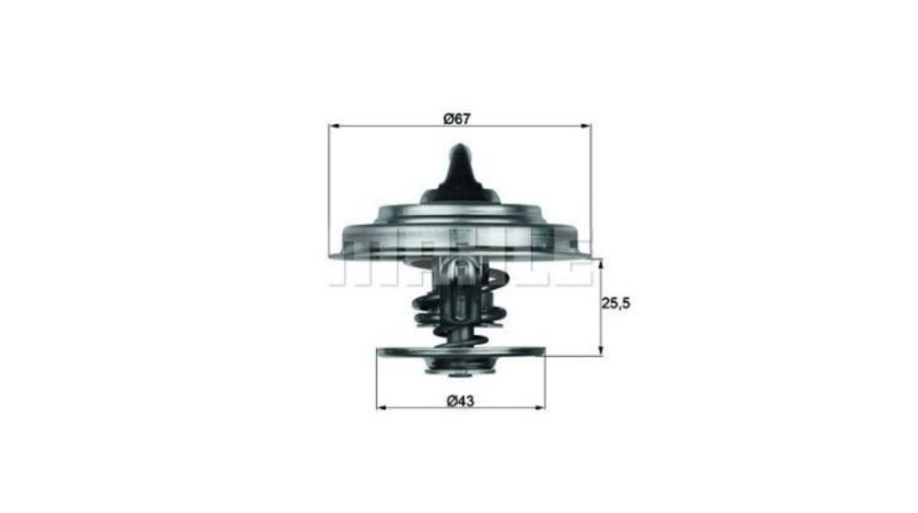 Termostat,lichid racire Ssang Yong Rodius (2005->) #2 0012039075