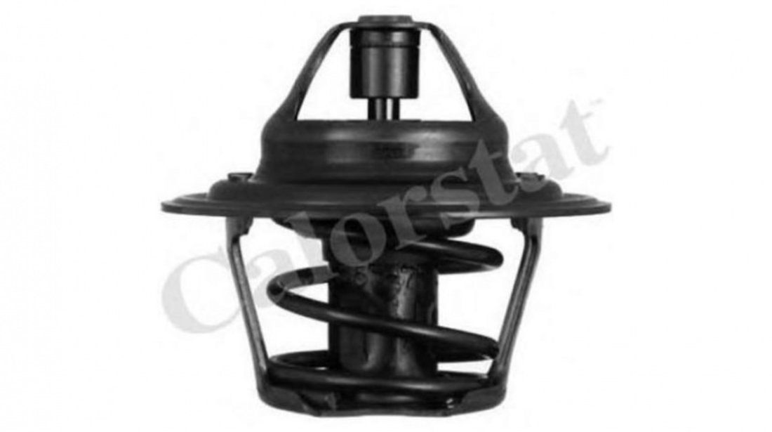 Termostat Volkswagen VW POLO (86) 1975-1981 036121113