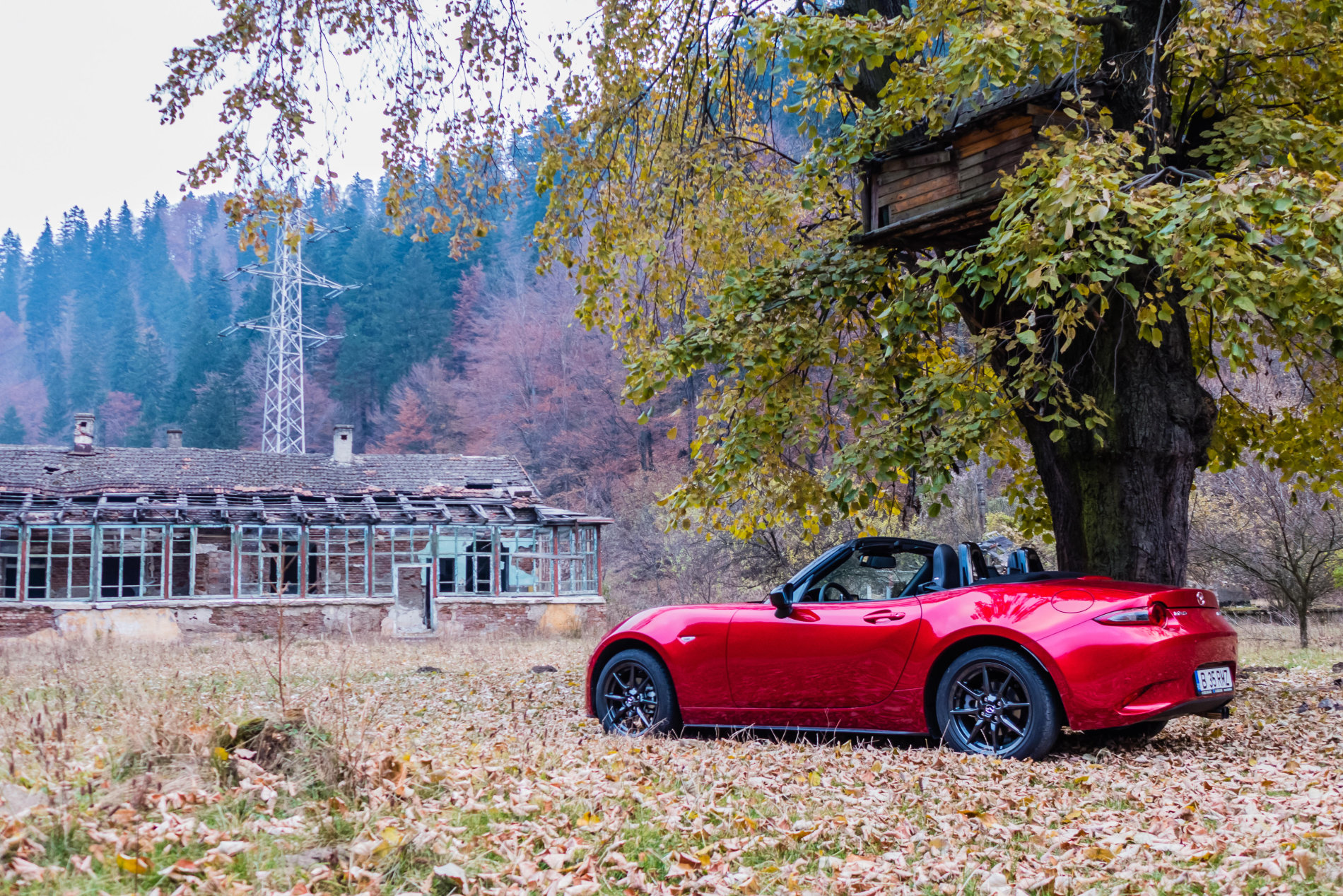 Poze Masini Testate Test Drive Mazda MX 5 426214