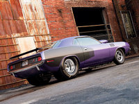 Click image for larger version

Name:	113_0708_08_z+1971_plymouth_cuda+rear_view.jpg
Views:	36
Size:	101.2 KB
ID:	316544