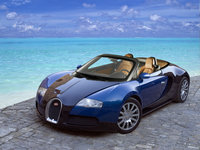 Click image for larger version

Name:	veyron_TKZ.jpg
Views:	45
Size:	519.8 KB
ID:	98948