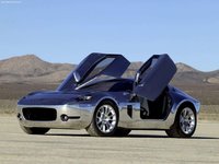 Click image for larger version

Name:	2005_Ford_Shelby_GR1_Concept_1024x768_0f.jpg
Views:	127
Size:	54.4 KB
ID:	318618