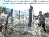 Click image for larger version

Name:	farmer_fence.jpg
Views:	768
Size:	60.5 KB
ID:	836994