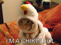 Click image for larger version

Name:	im-a-chikin-lol.jpg
Views:	96
Size:	224.7 KB
ID:	1011039