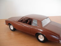 Click image for larger version

Name:	1-24 CHEVY MONTE CARLO 1978 6.JPG
Views:	40
Size:	1.16 MB
ID:	1989321