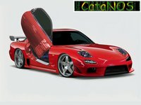 Click image for larger version

Name:	catanos_202.jpg
Views:	83
Size:	182.8 KB
ID:	44293