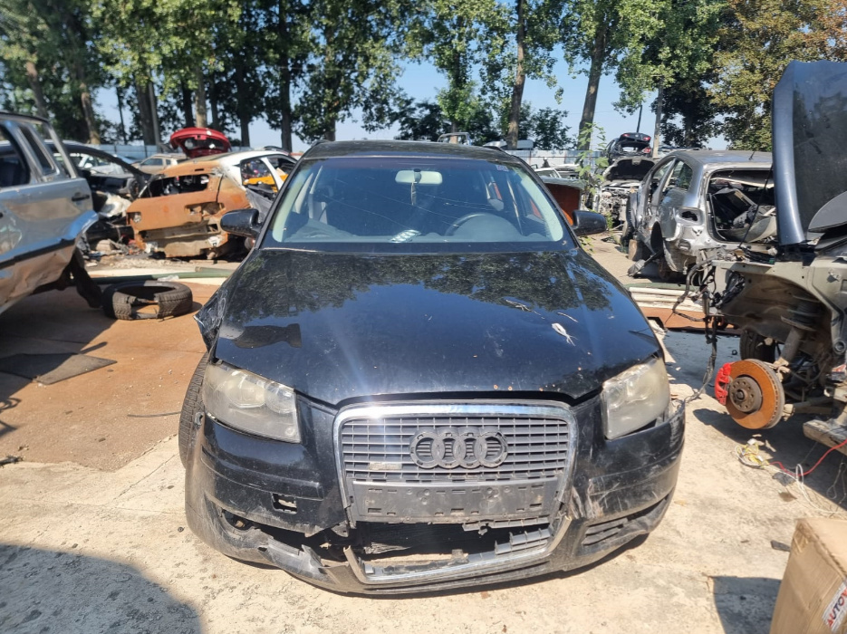 Usa stanga fata Audi A3 8P 2006 HATCHBACK 5 UȘI 2.0 tdi BMM