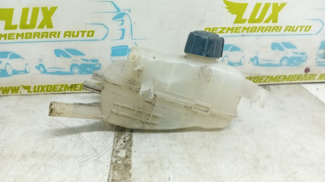 Vas expansiune 21700005r Renault Megane 3 [2008 - 2014]