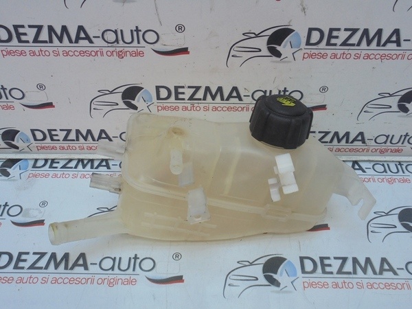 Vas expansiune, 21710005R, Renault Megane 3 combi