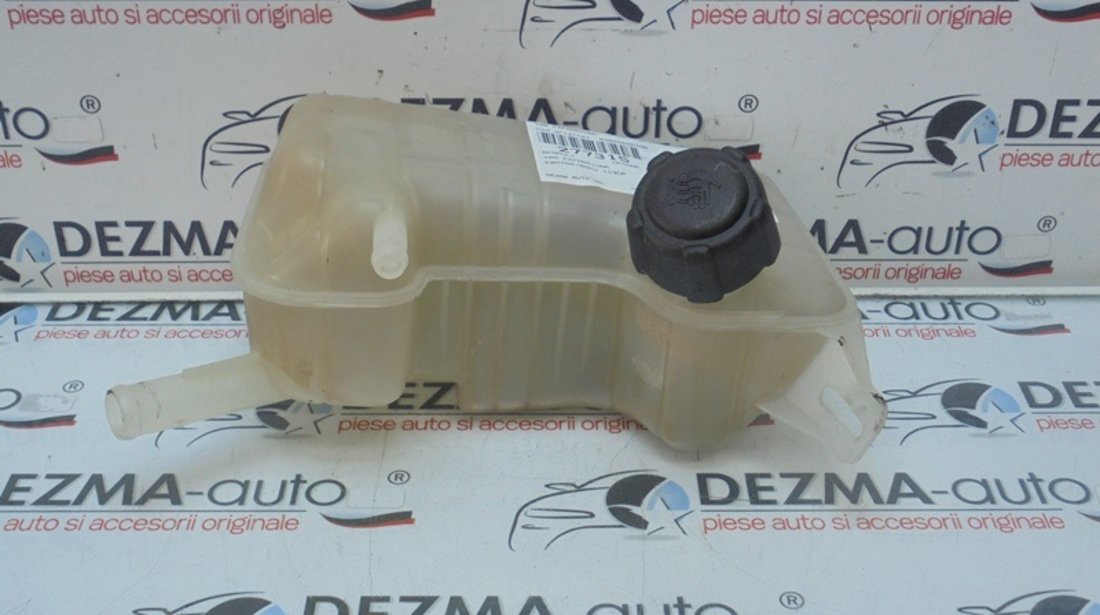 Vas expansiune, 8200262036B, Renault Megane 2 sedan