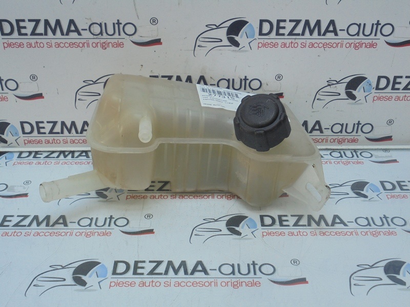 Vas expansiune, 8200262036B, Renault Megane 2