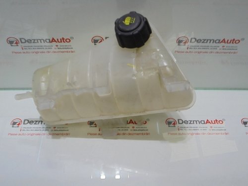 Vas expansiune 8200455786, Renault Kangoo Express (id:288929)