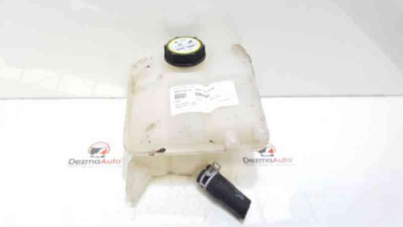 Vas expansiune 8V61-8K218-AE, Ford Focus 3 (id:336446)