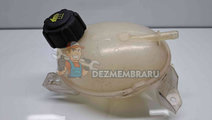 Vas expansiune Renault Clio 4 [Fabr 2012-2020] 217...