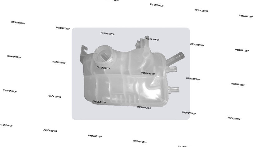 Vas expansiune Renault Megane 3 2008-2015 NOU 217100005R (BENZINA / DIESEL)