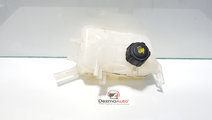 Vas expansiune, Renault Megane 3, cod 217100005R