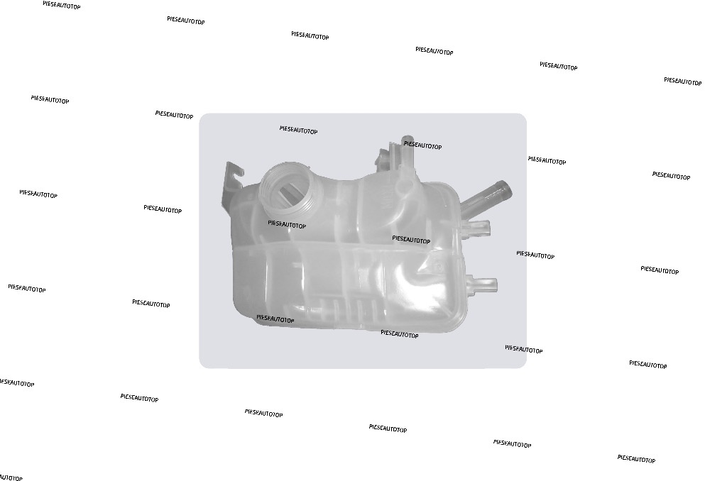 Vas expansiune Renault Scenic 3 2009-2015 NOU 217100005R (BENZINA / DIESEL)